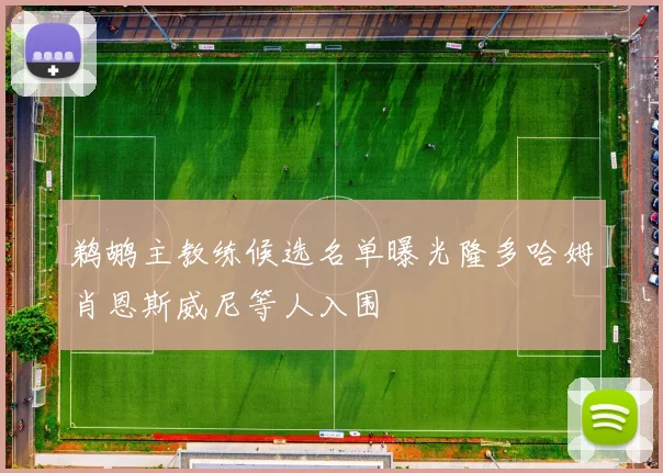 鹈鹕主教练候选名单曝光隆多哈姆肖恩斯威尼等人入围